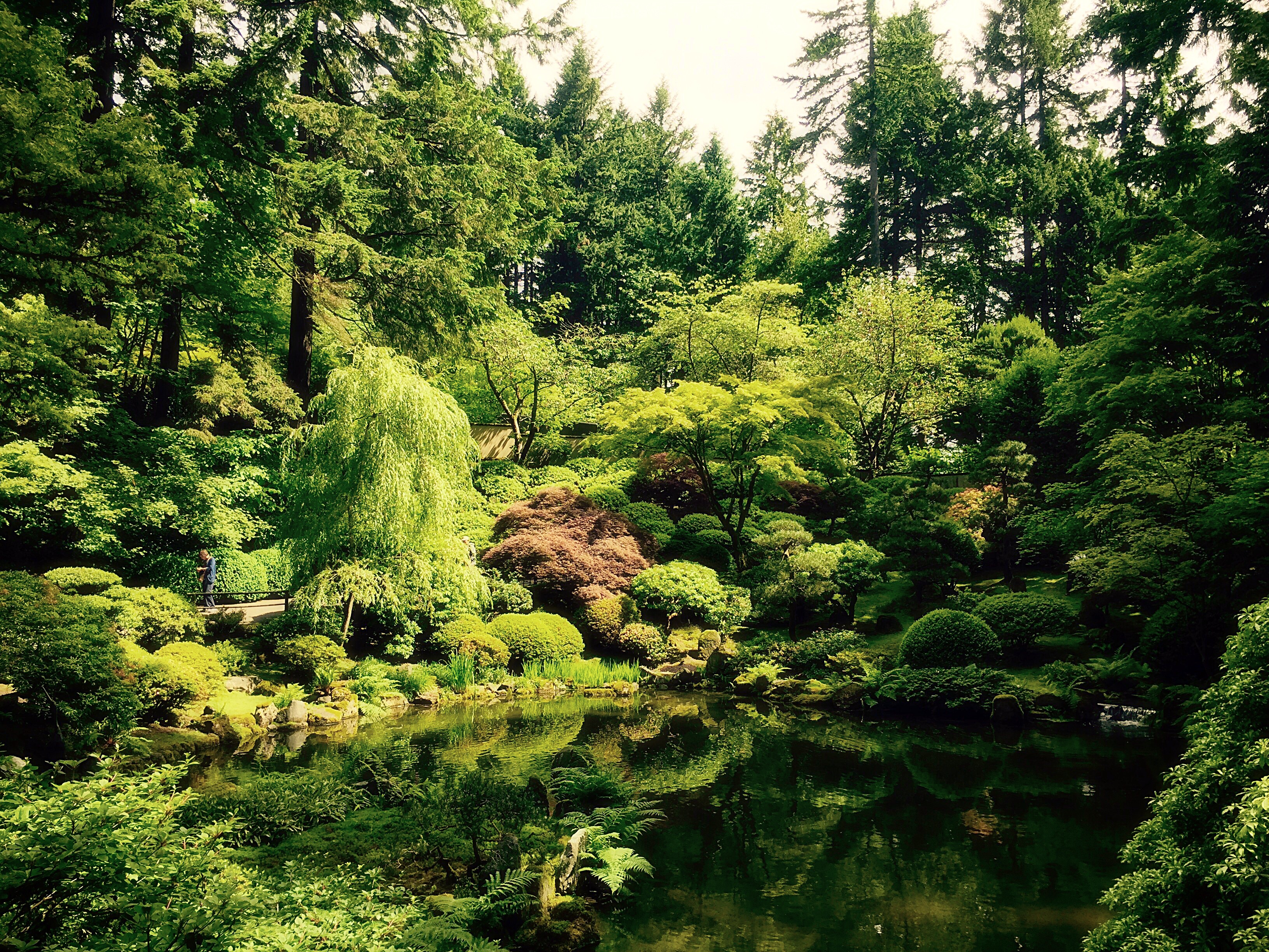 A day at the Japanese gardens